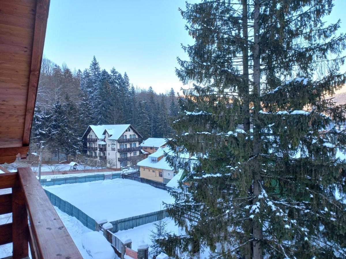 Kalinderu Luxury Ski Loft Buşteni Exteriér fotografie