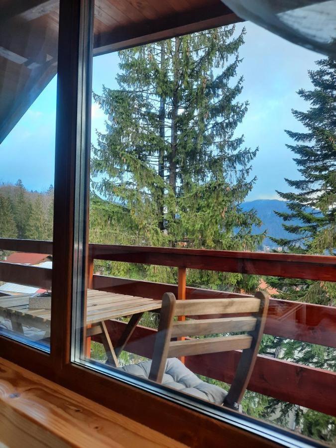 Kalinderu Luxury Ski Loft Buşteni Exteriér fotografie
