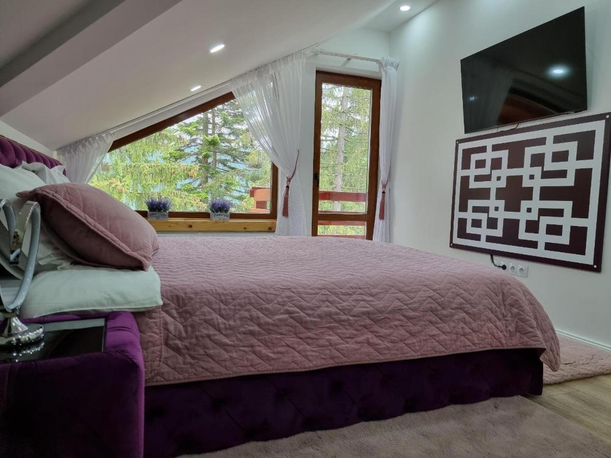 Kalinderu Luxury Ski Loft Buşteni Exteriér fotografie